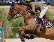 VIZZINI QUINTA ROO CampITA2013- S5 9921 : Campionati Italiani 2013, Cattolica, Horse Riviera Resort, QUINTA ROO, VIZZINI LUCIA, foto di Stefano Secchi ©